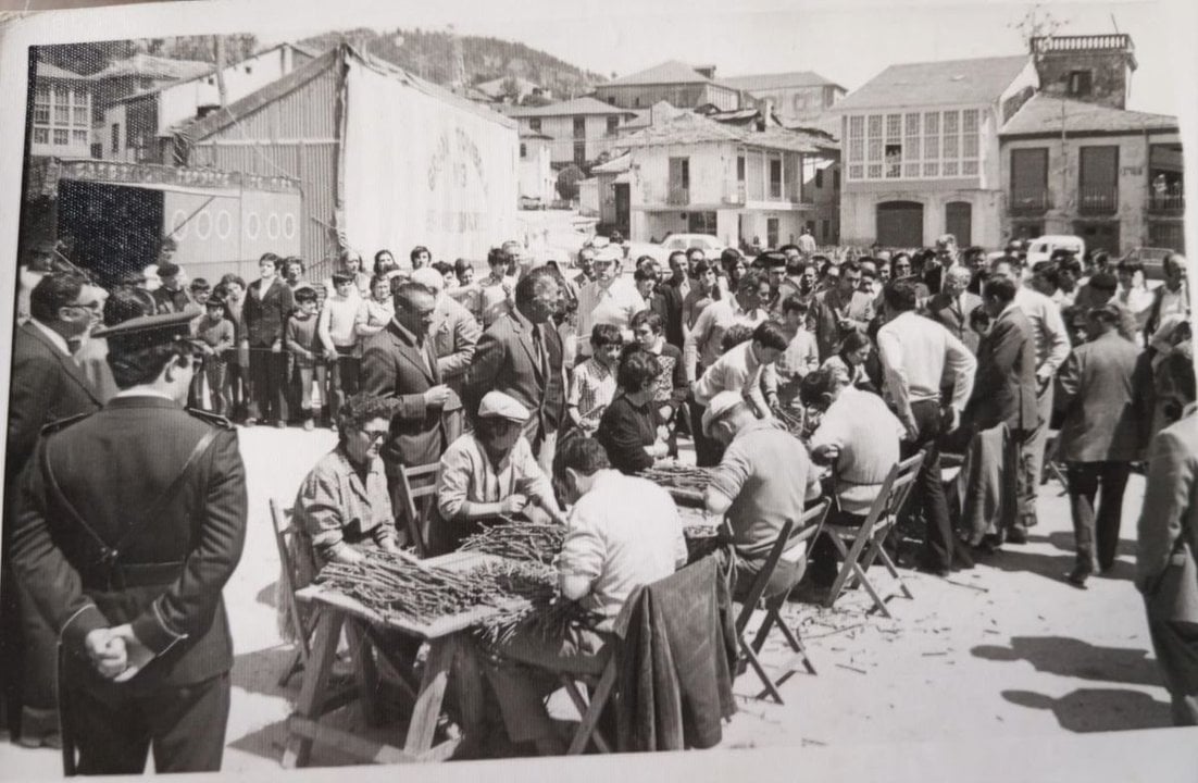 Viveristas realizando injertas manuales en la plaza del pueblo de Vilamartín, en los años 70.
