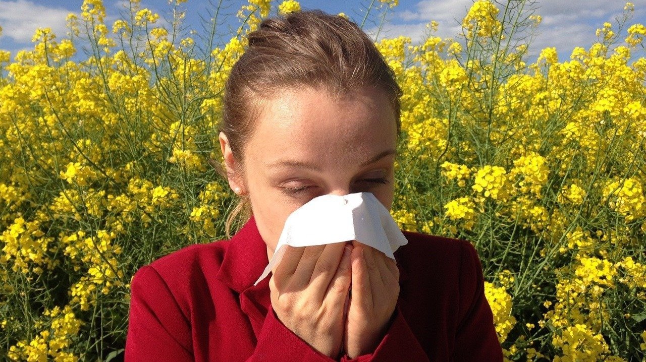 Algunos consejos para mitigar los efectos de la alergia al polen esta primavera.
