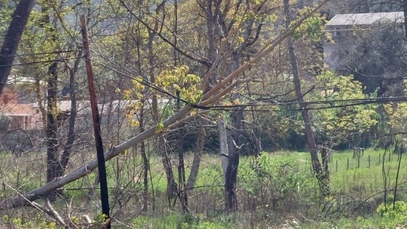 Árbol caído sobre cables en A Veiga de Cascallá.