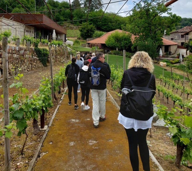 Un grupo de turistas en una visita guiada por los viñedos de una bodega de O Ribeiro.