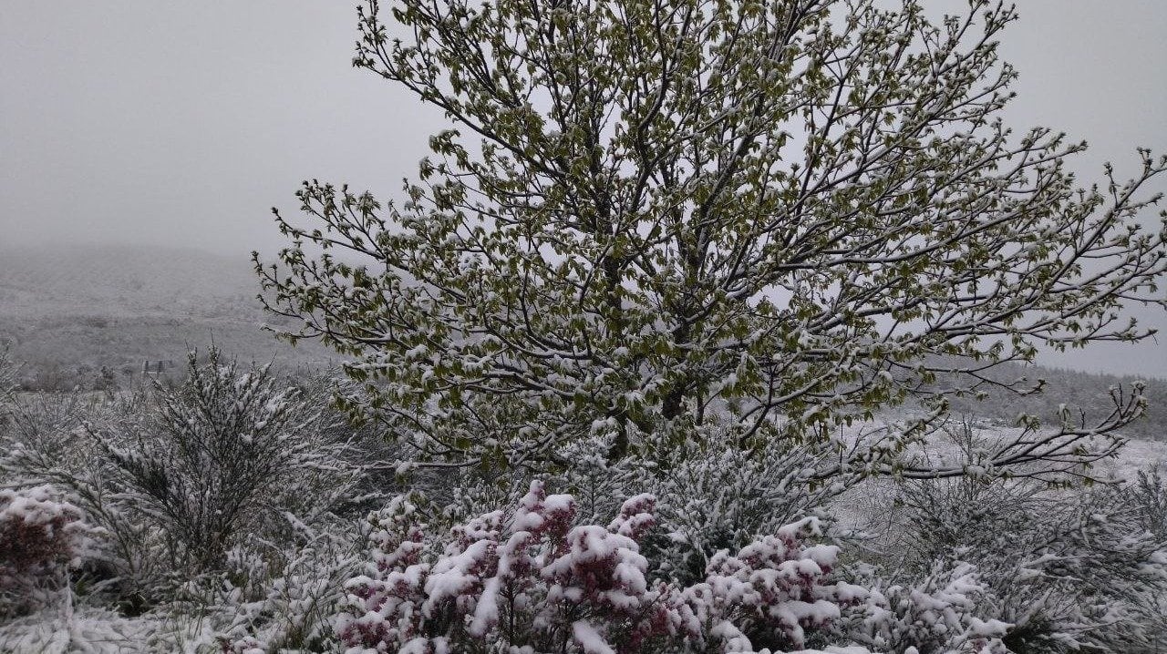nieve Valdeorras mayo
