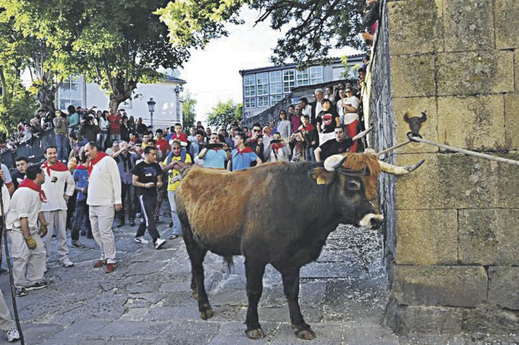 A Festa do Boi en Allariz.