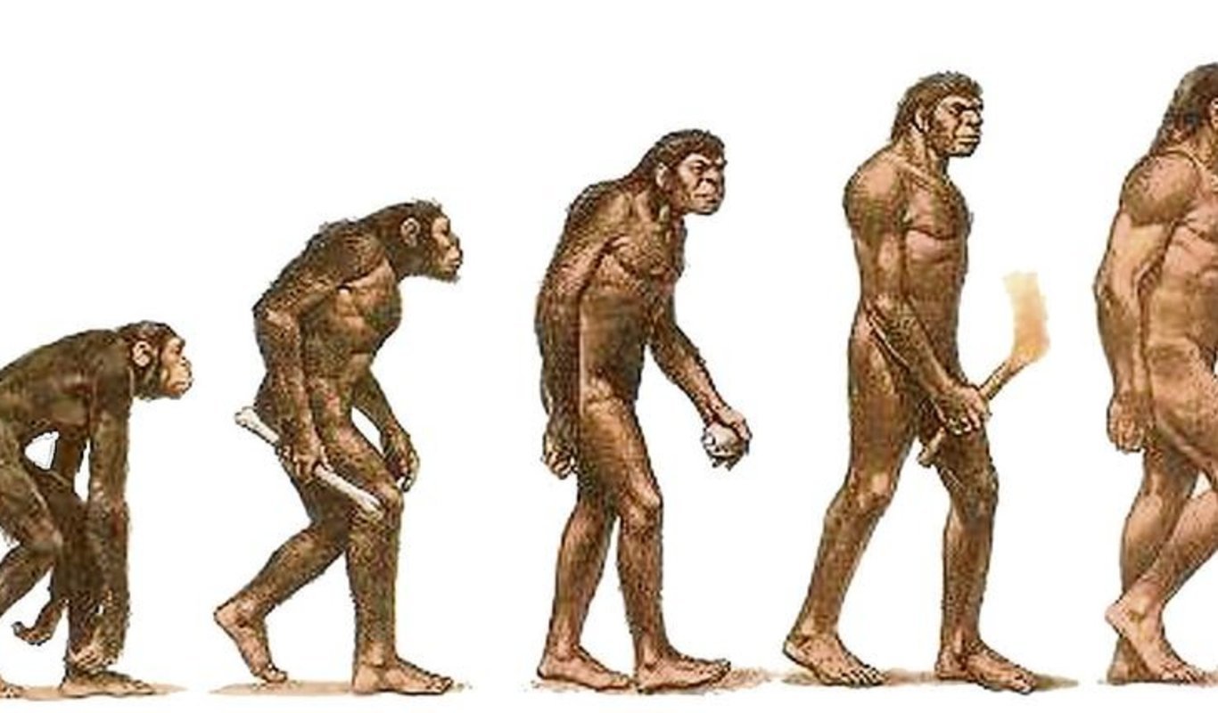 Resultado de imagen de homo sapiens