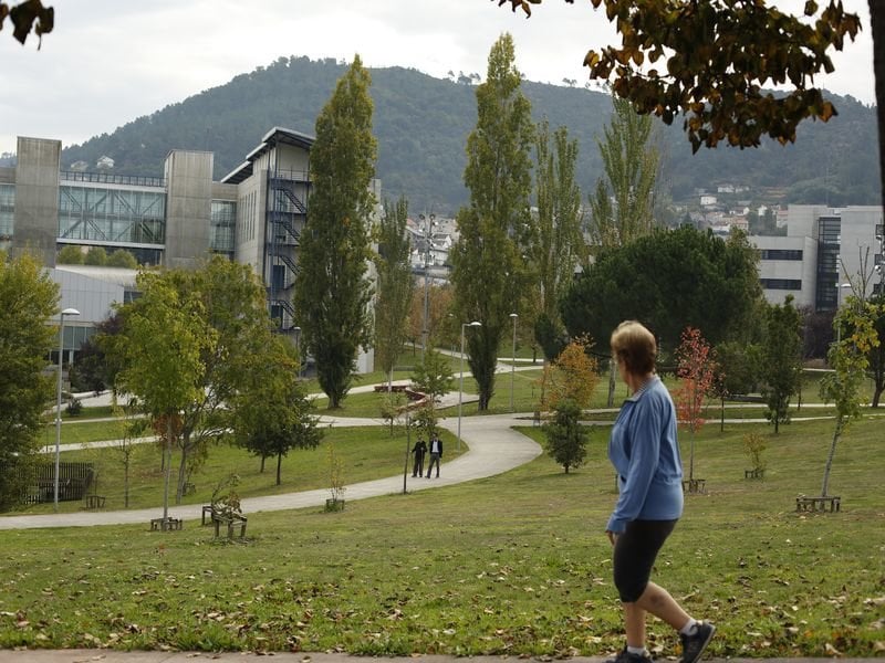 Ourense. 27/10/2019. Reportaje sobre las zonas verdes de la ciudad. En la foto el campus de Ourense.
Foto: Xesús Fariñas
